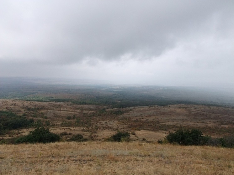 В ЛНР оценили урожайность озимой пшеницы