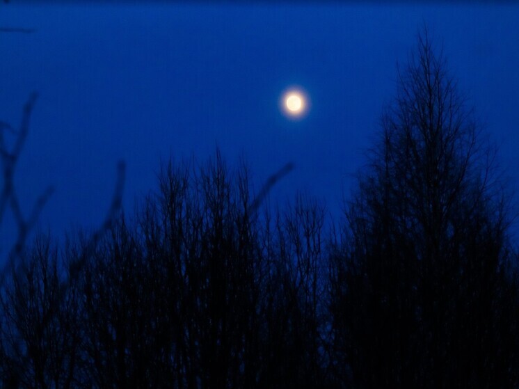 Гороскоп для всех знаков зодиака на 26 сентября 2025 года