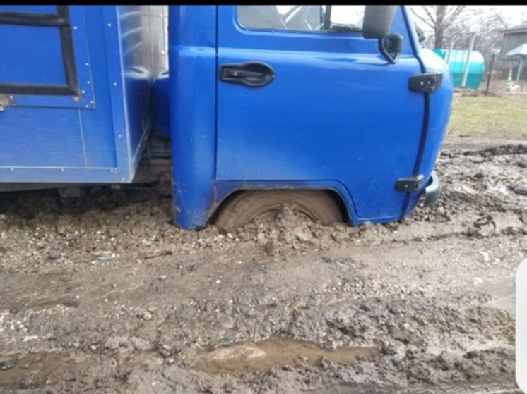 Жительница козельской деревни решила попросить о помощи губернатора