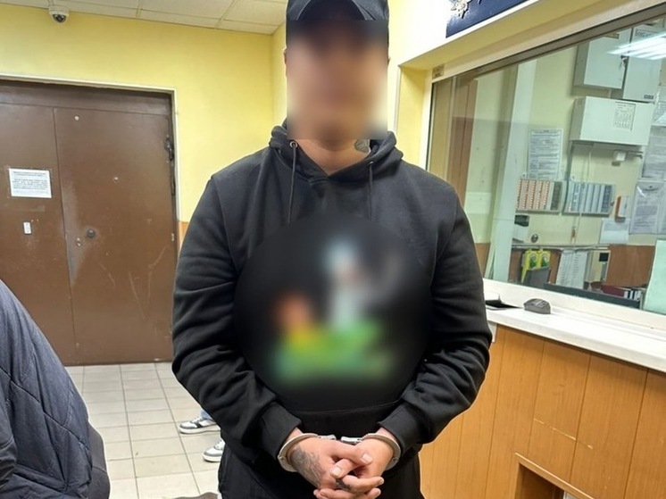 Уссурийского лодыря-афериста задержали в Петербурге за обман пенсионера на 1,8 млн