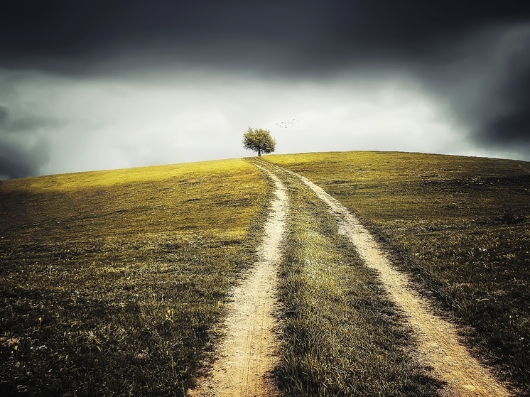 В Калужской области стало больше земли для туристов