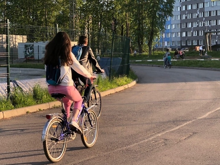 Вологжан приглашают написать «Спортивный диктант»