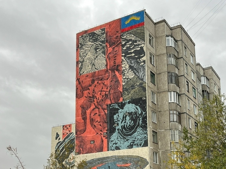 Новые муралы украсили три дома в Ковдоре