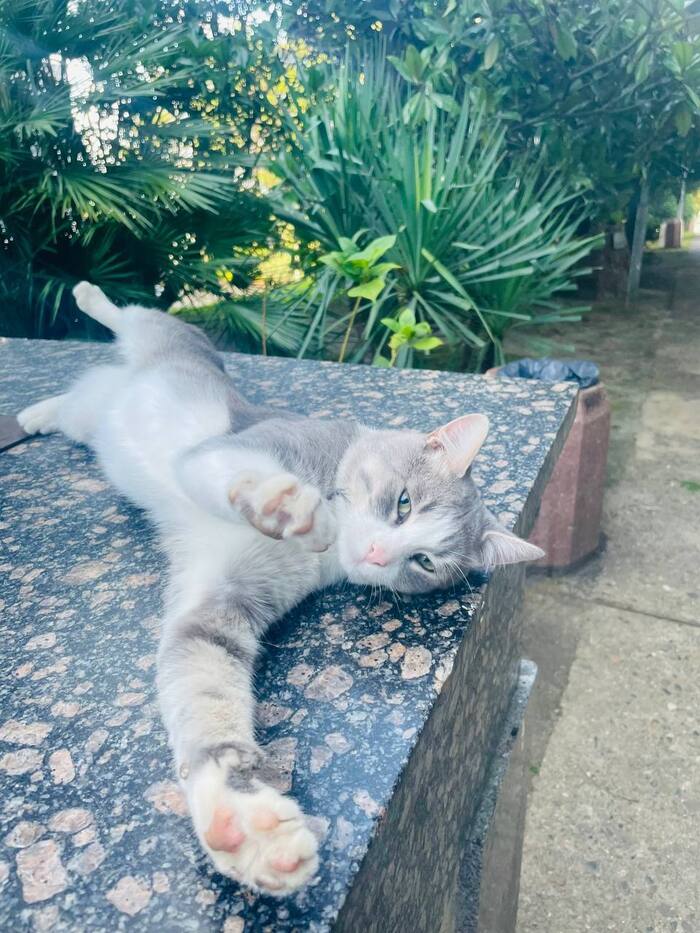 Контрасты города