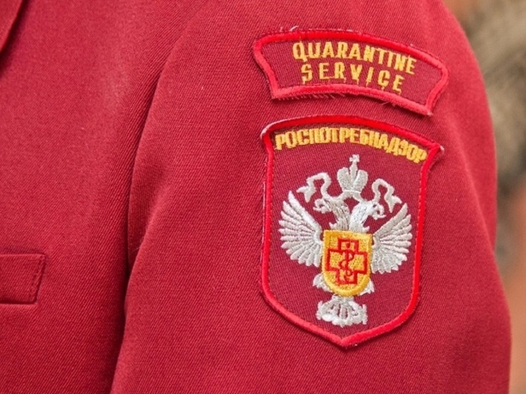 В Волгограде мошенники выдают себя за сотрудников Роспотребнадзора