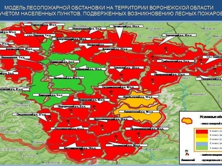 25 районам Воронежской области угрожает пожарная опасность высшего класса