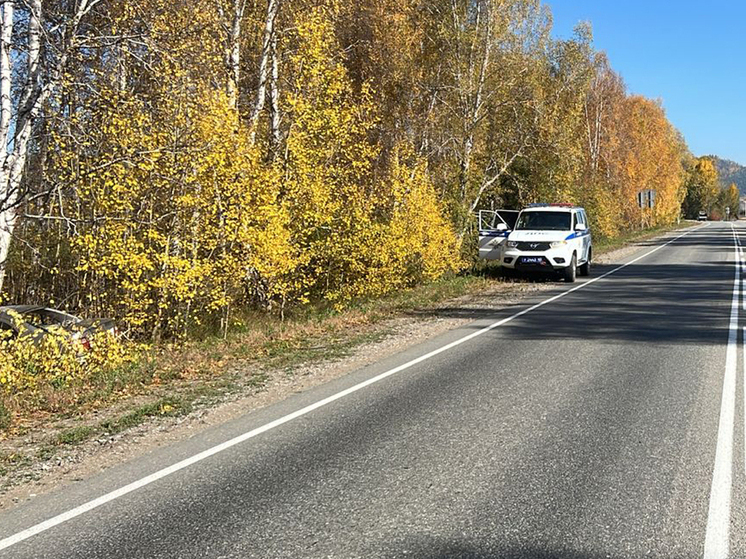 В Бурятии водитель уснул за рулем и врезался в дерево