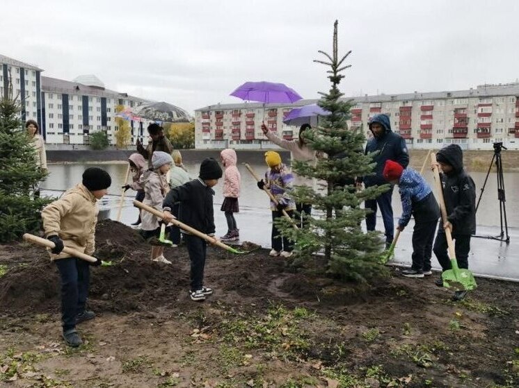В Тюмени продолжаются работы по благоустройству пруда Утиный