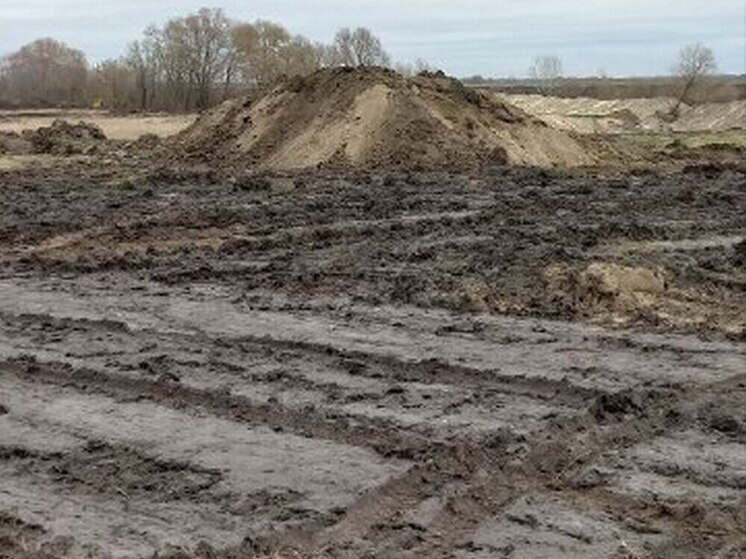 В Воронеже тяжелая техника проводит опасные для Большого озера земельные работы