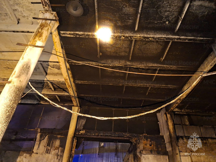 Одиннадцать пожарных тушили бытовку в Ермолине