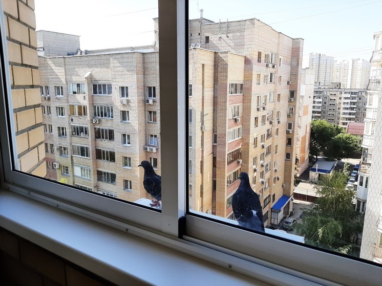 Судебные приставы продали единственное жильё жительницы Энгельса за мизерный долг по налогам
