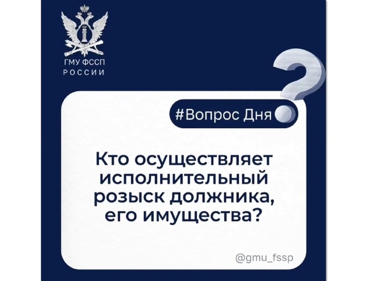 Кто осуществляет исполнительный розыск должника, его имущества