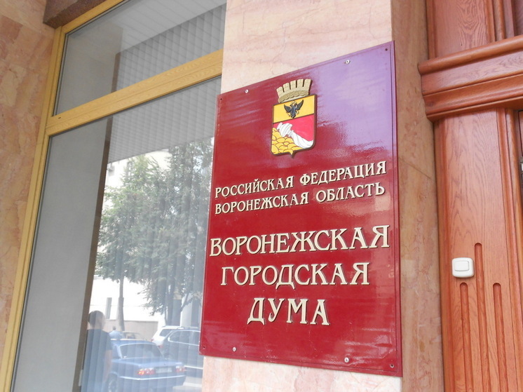 В Воронежской гордуме объяснили, почему отменили заседание 24 сентября