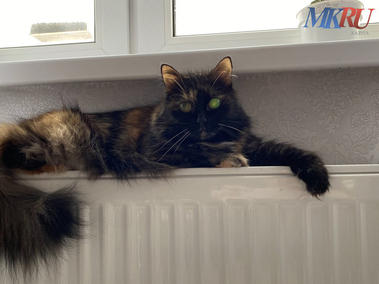 Калужан начнут согревать в ближайшие дни