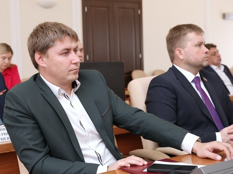 Парламентарии Владимирской области поддержали IT-специалистов