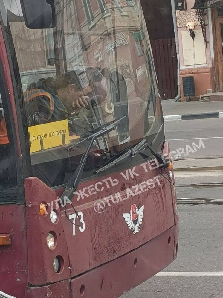 В Туле спящий за рулем водитель троллейбуса взорвал соцсети