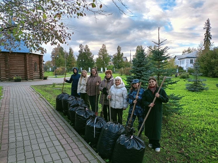 Сотрудники вельской колонии навели порядок в городском парке