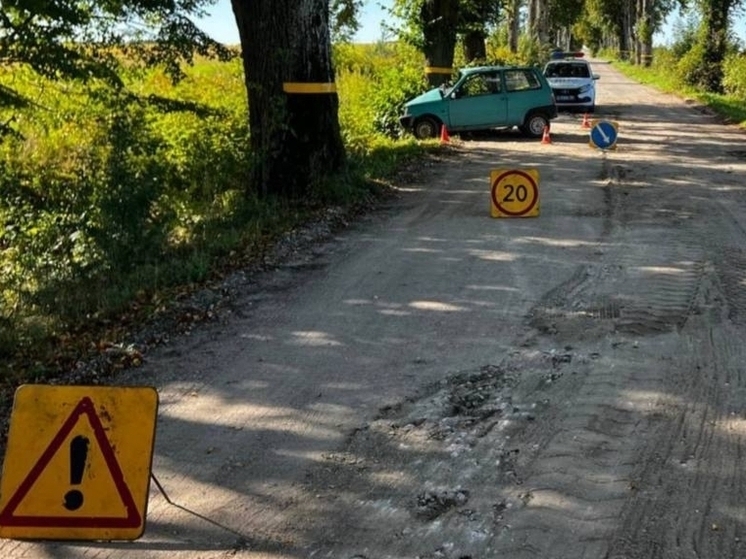 В Багратионовском районе женщина на «Сеазе» врезалась в дерево