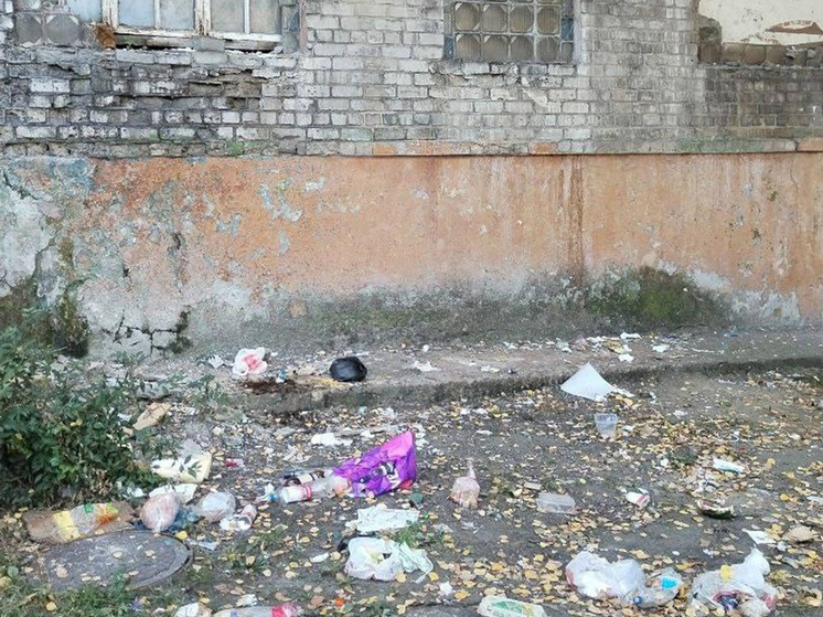 Липчане негодуют из-за отсутствия дворников