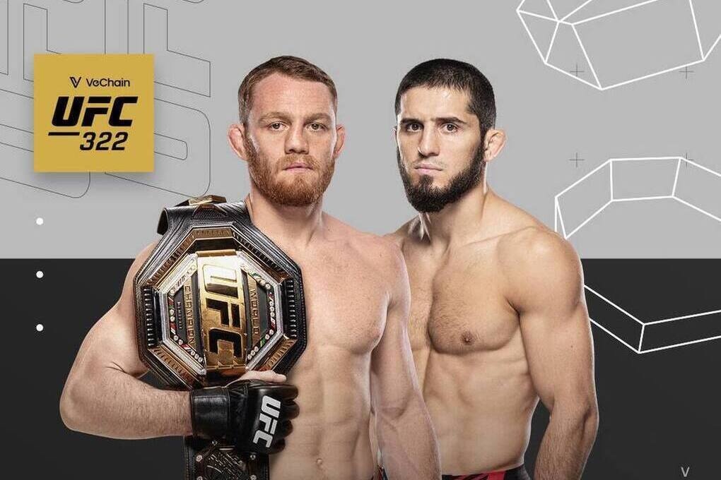 Бойцы проведут бой 16 ноября