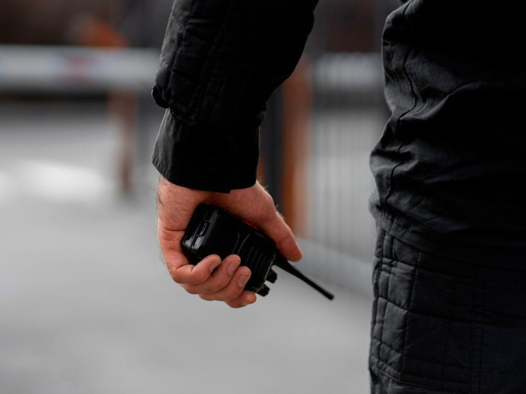 В Липецке задержали пьяного водителя и его пассажира с запрещенными веществами
