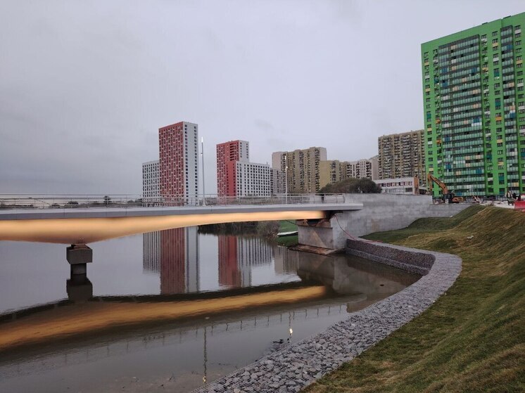 В Подмосковье открыли пешеходный мост «Дружба» между Люберцами и Москвой