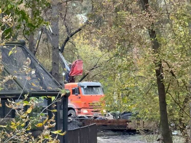 В Новосибирском зоопарке восстановят вольеры к весне