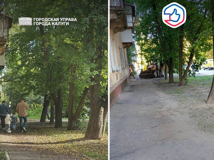 В Калуге убрали упавшие яблоки