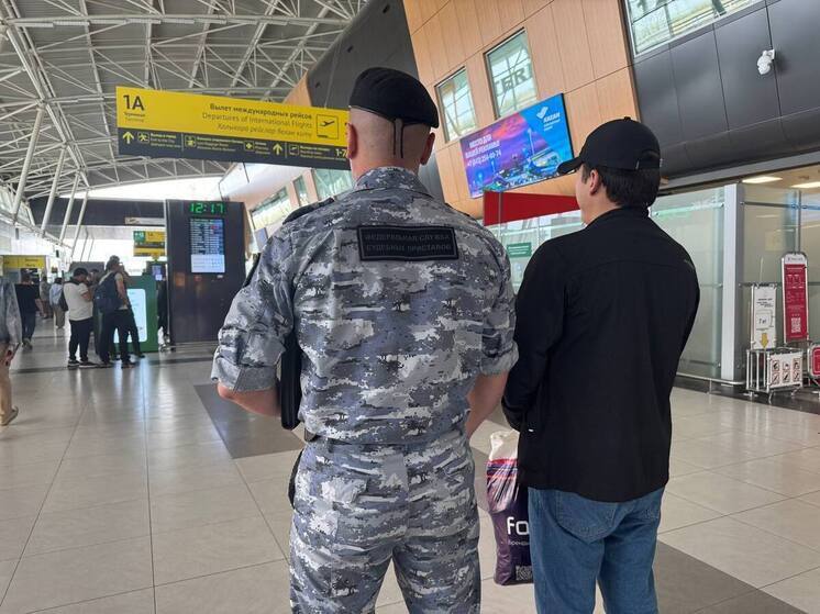 В Марий Эл оштрафовали и отправили на родину иностранца-нелегала