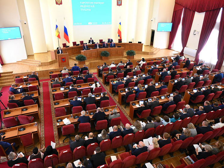 На Дону расширили меры поддержки многодетных семей