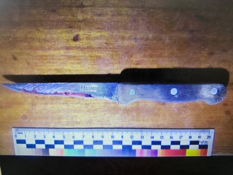 На Дону женщина ударила ножом возлюбленного во время ссоры