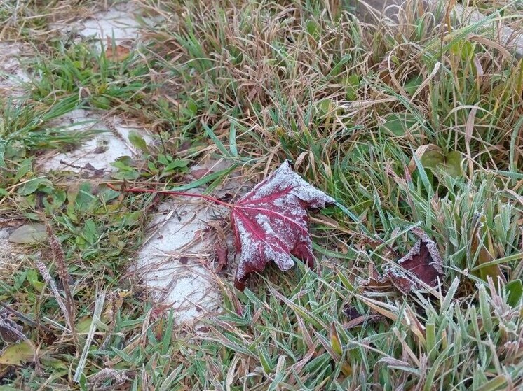 Столбики термометров опустились ниже нуля в ряде районов Подмосковья