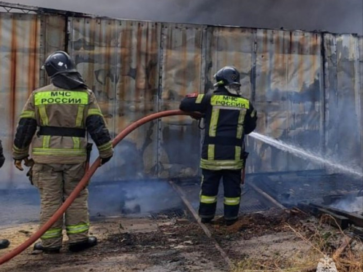 За сутки в Ростовской области ликвидировали 12 техногенных пожаров