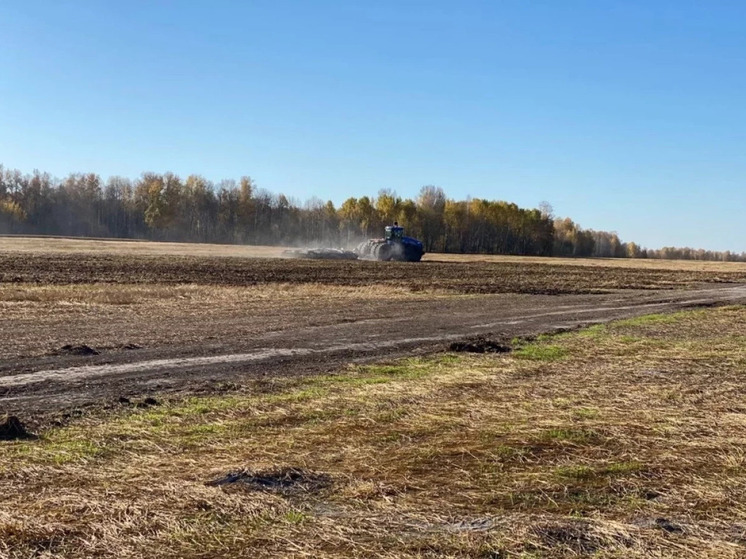 В Новосибирской области впервые начали известковать кислые почвы по госпрограмме