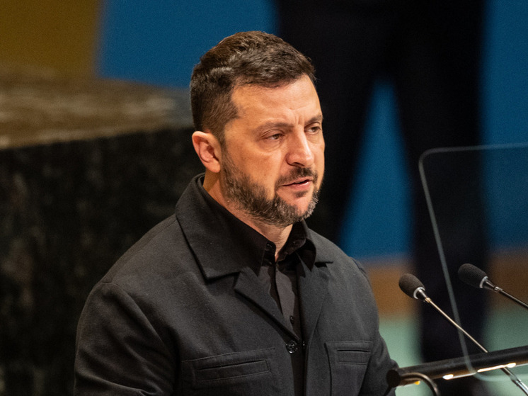 Зеленский обвинил лидеров стран НАТО в трусости