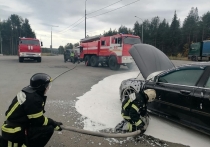 На номер 112 поступило сообщение о пожаре в автомобиле на 1108 км федеральной трассы Р-21 «Кола» 26 сентября в 15:07, сообщает пресс-служба Управления по ГОЧС и ПБ Мурманской области