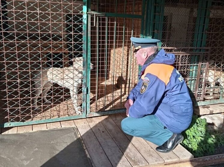 Новгородские спасатели пообщались с хвостатыми постояльцами приюта «Жизнь»