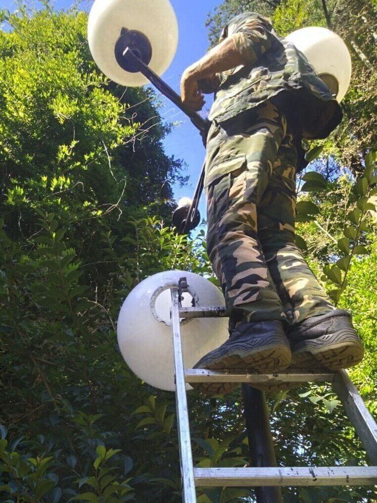 В сквере Фестивальном и улицах Первомайская и Навагинская восстановили уличное освещение в Сочи