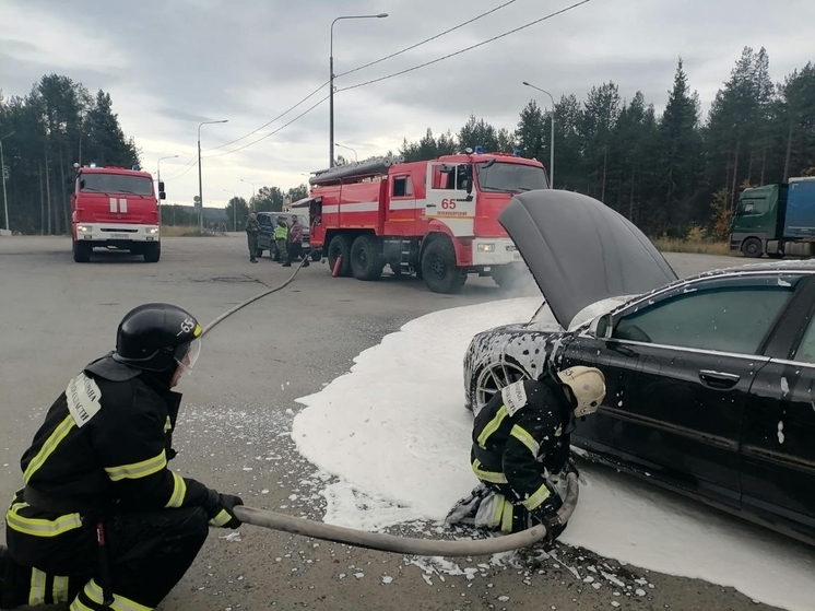 На юге Мурманской области пожарные спасли Audi