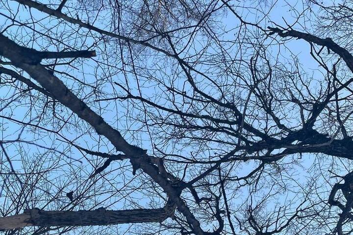Синоптики назвали дату первого снега в Самарской области