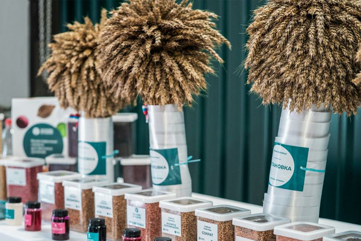 «Ермоловка» на «Золотой осени»: подмосковные аграрии представят на выставке революционный сорт пшеницы