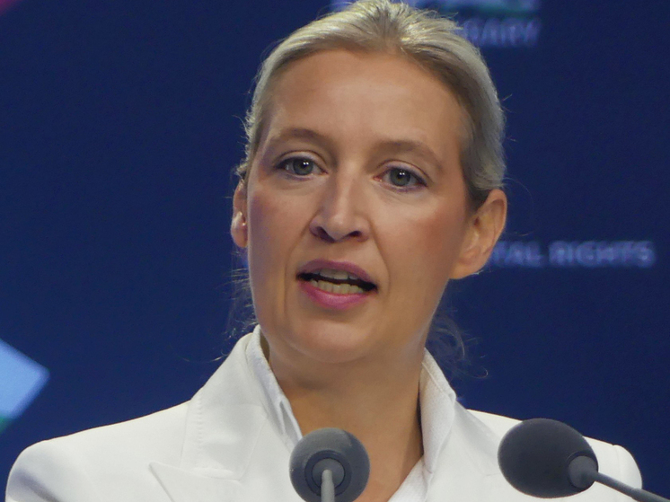 Германия — Вечеринка с последствиями: штаб AfD покидает Виттенау