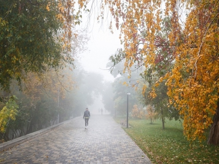 Дождь и похолодание ожидаются в Волгоградской области в выходные