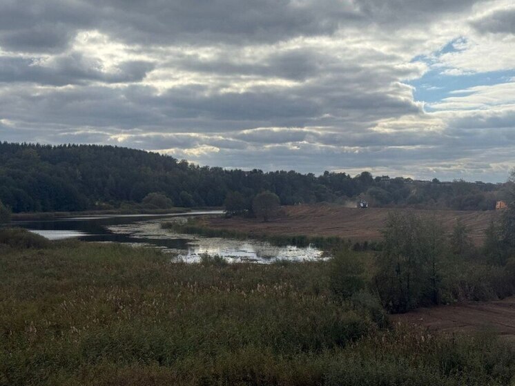 Экологи прокомментировали работу тяжелой техники на берегу воронежского озера