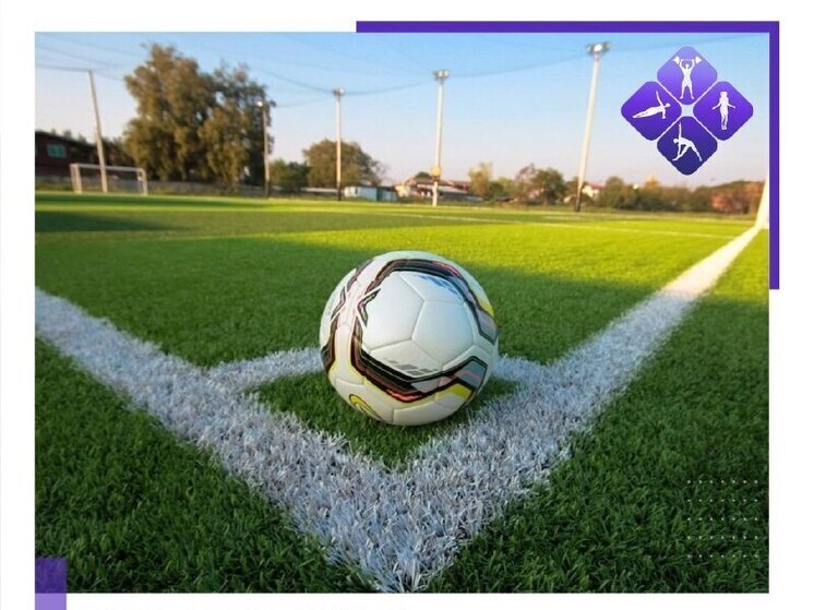 Ветераны сыграют в мини-футбол на стадионе Биробиджана