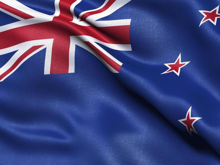 Новая Зеландия отказалась признавать Палестину из-за несоответствия критериям государства