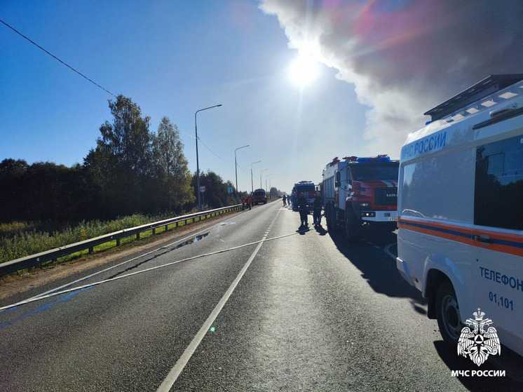 Минздрав сообщил об оказании помощи пострадавшим в ДТП с поездом в Руднянском районе