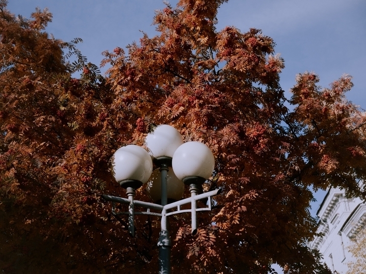 Преимущественно без осадков и до +20 °C: погода в Томске на 27 сентября