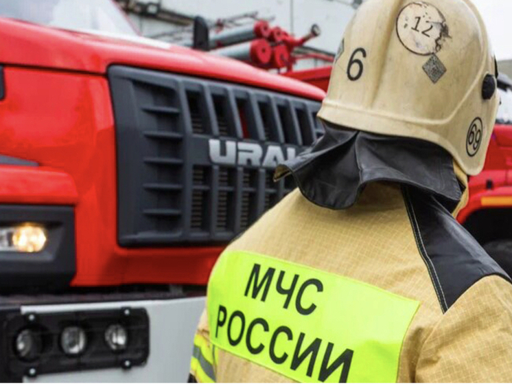 В Новосибирской области за сутки потушили 31 пожар