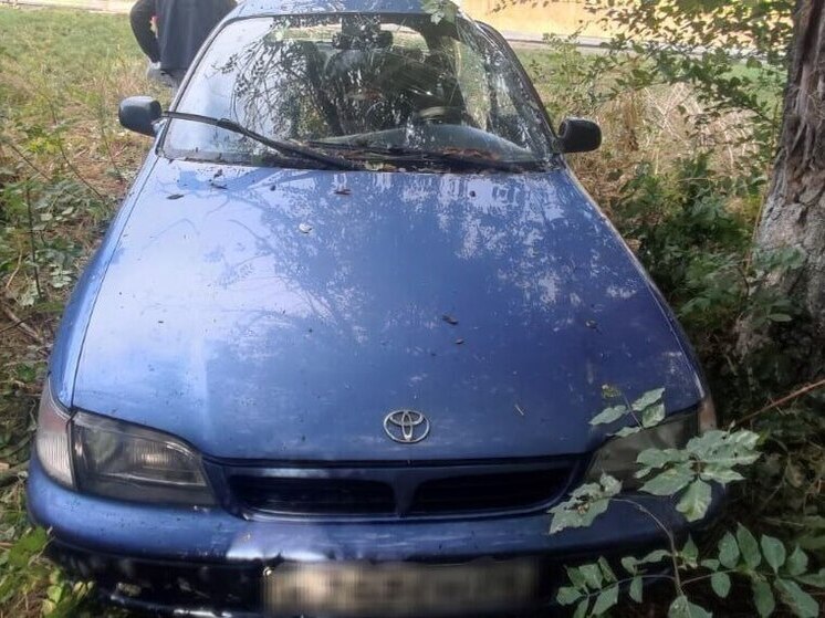 На Ставрополье «Тойота» врезалась в дерево, погибла женщина